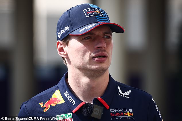 Max Verstappen labelled the stewards 'stupid idiots' during the Abu Dhabi Grand Prix